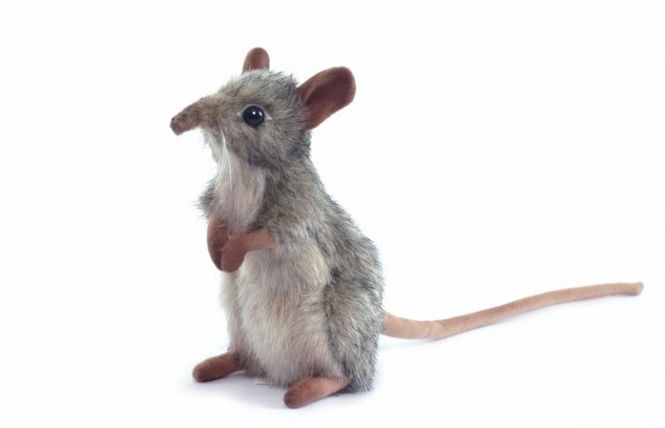 Hovedbilde HansaCreation Mus sittende