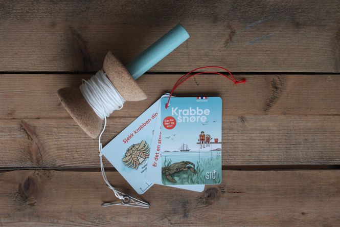 Hovedbilde STØ krabbesnøre